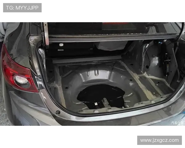 杭州排球队进攻战术解析与热点动态全方位解读